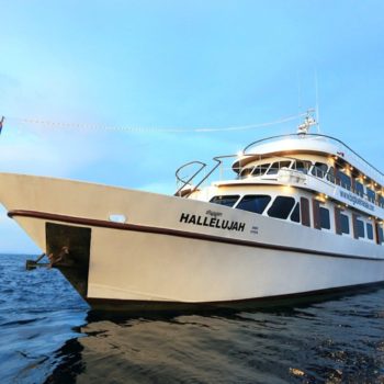 MV Hallelujah Similan Islands Diving Trip