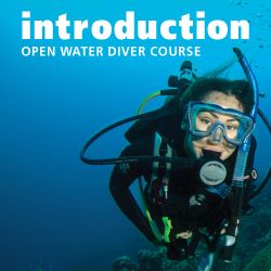 PADI's Open Water Diver e-learning