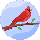 L D profile picture