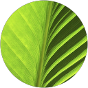 Rik M profile picture